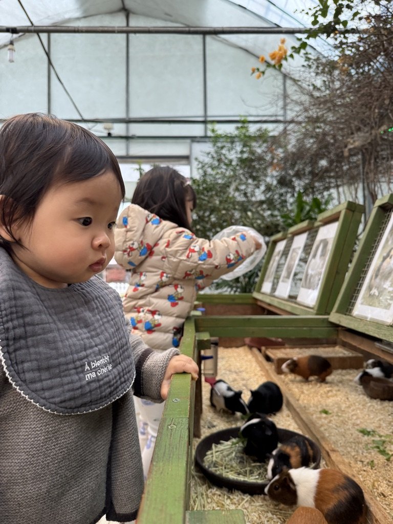 2024.10.27(일)-동천자연식물원