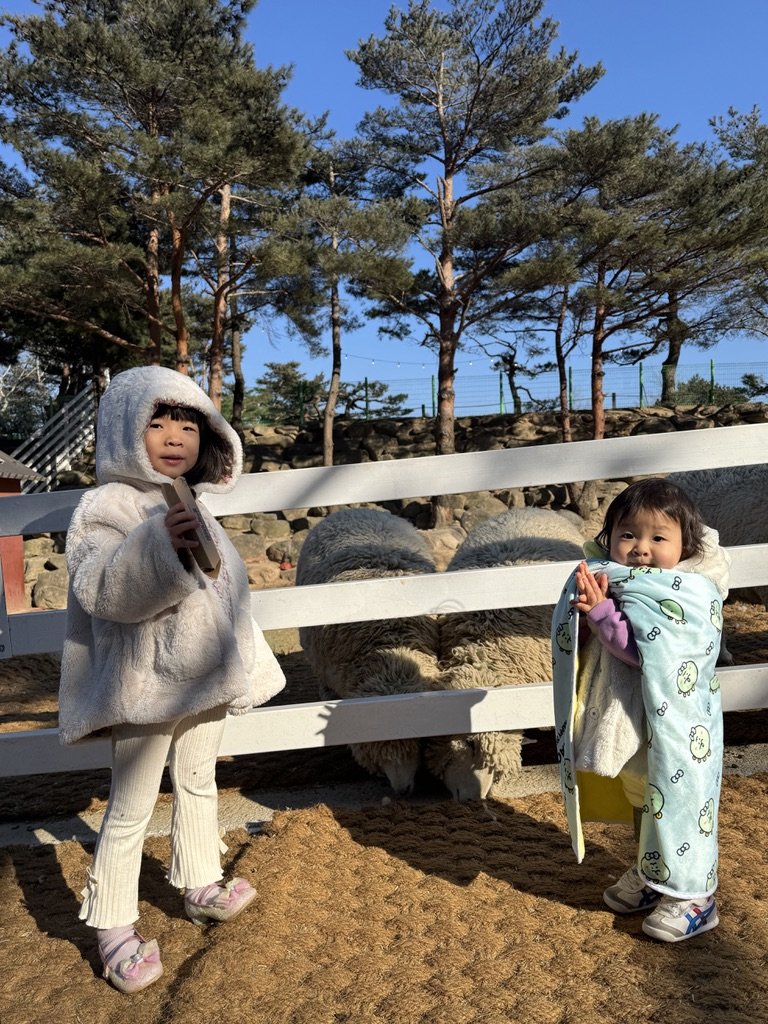 2025.02.23(일)-켄싱턴리조트 설악밸리