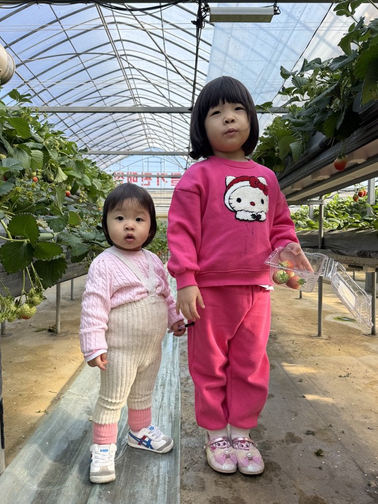 2025.02.24(월)-응골딸기