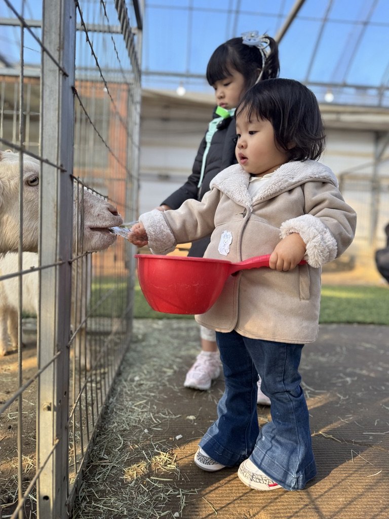 2026.02.08(일)-헤븐온어스