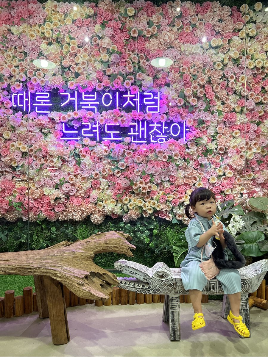 2022.07.03(일)-카페거부기&쿠펫 판교점