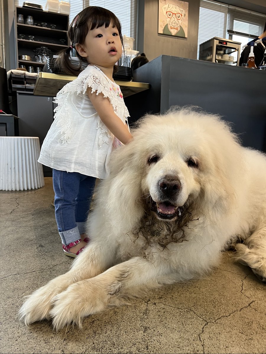 2022.06.19(일)-뚜어드가빈
